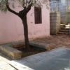 Un piccolo cortile con un albero e muro rosa.
