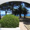Vista mare da una terrazza con palme e cespugli in primo piano.