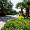 Viale pavimentato circondato da vegetazione rigogliosa.