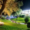 Giardino notturno illuminato con prato e alberi.
