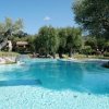 Ampia piscina circondata da ulivi.