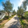 Camping Del Gabbiano (PU) Marche