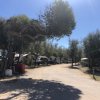 Camping Pineta (MC) Marche